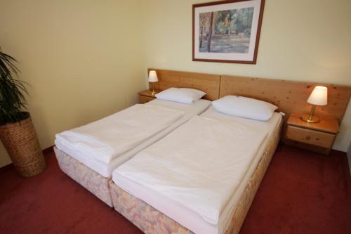 Foto de una habitación de Sonnenhotel Wolfshof