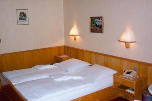 Foto de una habitación de Hotel Waldesruh