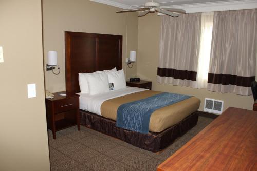 Room – Hotel Comfort Inn &amp;amp; Suites Ocean Shores