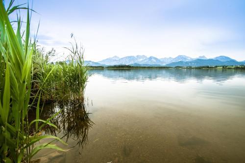 Foto del entorno de Hotel am Hopfensee