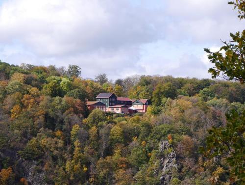 Foto general de Akzent Berghotel Rosstrappe
