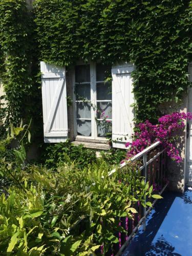 Foto del exterior de Hôtel Saint Louis