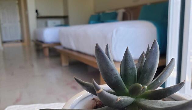 Foto de Hotel Paradise Island Beach Resort