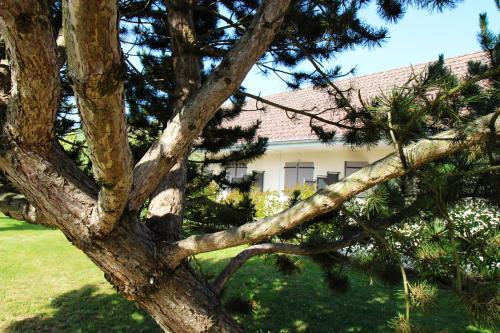 Foto de los servicios de Hôtel Le Clos Badan