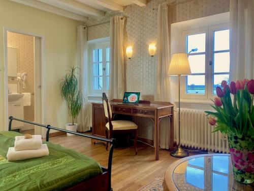 Foto del entorno de Rhein River Guesthouse - Art Hotel on the Rhine