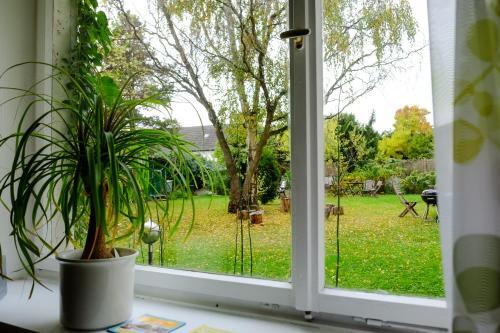 Foto del entorno de Rhein River Guesthouse - Art Hotel on the Rhine
