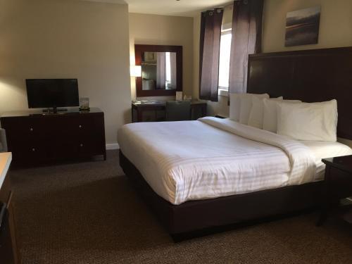 Room – Hotel The Beach Haus - Traverse City