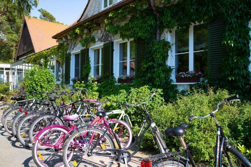 Foto del exterior de Hotel Döllnsee-Schorfheide