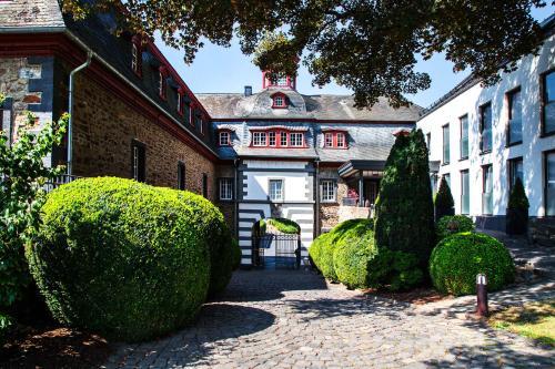 Foto generica Schloss Hotel Burgbrohl
