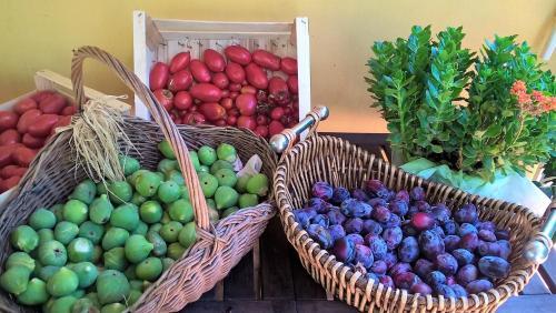 Foto de una habitación de B&amp;amp;b Villa C&amp;#039;era Una Volta
