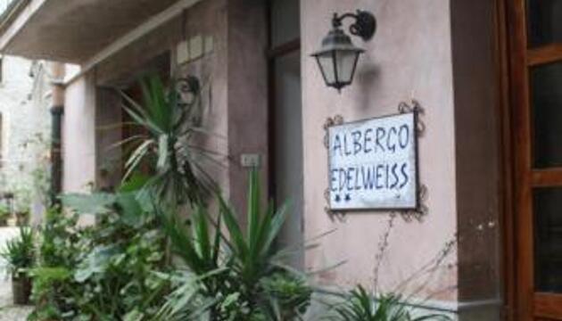 Foto de Hotel Edelweiss