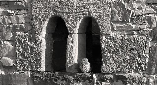 Foto geral - Torre De Villademoros