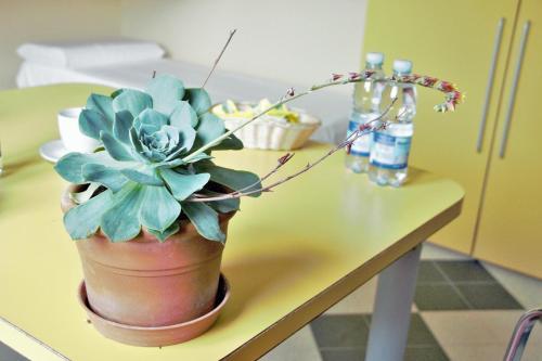 Foto de una habitación de Ostello La Miniera