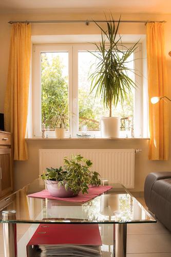 Foto de una habitación de Familie Schwantes