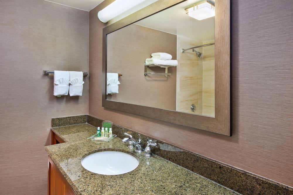 Foto del baño de Holiday Inn Washington-Dulles International Airport, an IHG Hotel