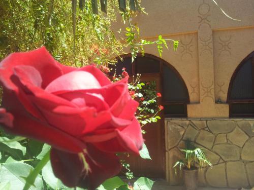 Room – Bed-and-Breakfast Maison D&amp;#039; hôtes Ait Hmid