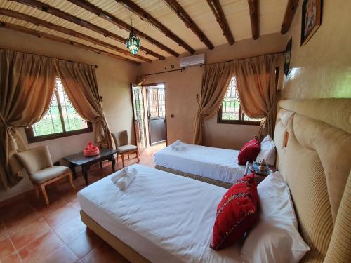 Room – Bed-and-Breakfast Dar Assarou