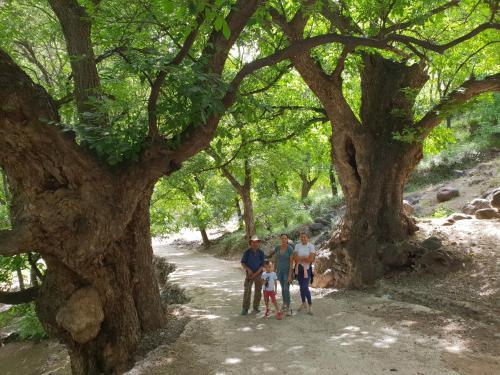 Photo – Bed-and-Breakfast Dar Assarou