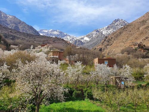 Facilities – Bed-and-Breakfast Dar Assarou