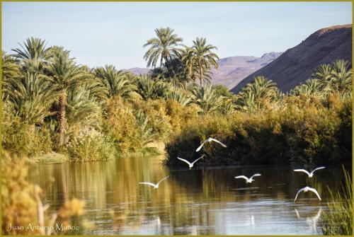 Photo – Lodge Hara Oasis
