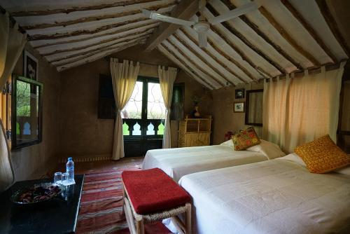 Room – Lodge Hara Oasis