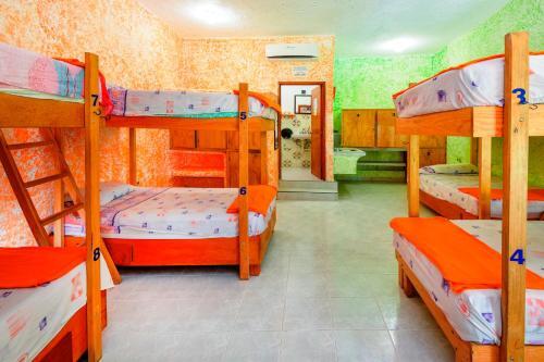 Foto de una habitación de Amigos Hostel Cozumel