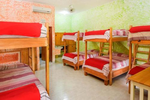 Foto de una habitación de Amigos Hostel Cozumel