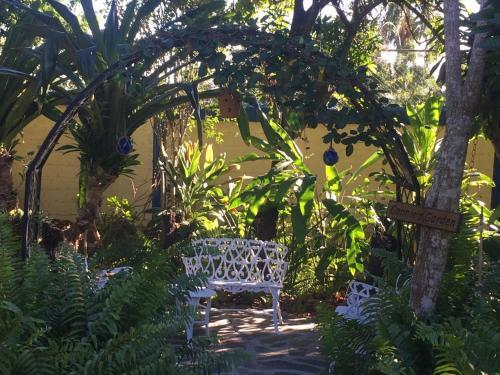 Foto de los servicios de Albergue Sana El Jardin Secreto