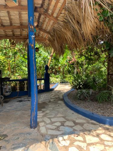 Foto de restauración de Albergue Sana El Jardin Secreto