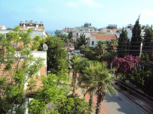 Foto del entorno de Teos Hotel