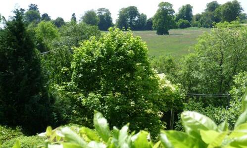 Foto del entorno de Bed-and-Breakfast Diamond Hill Country House