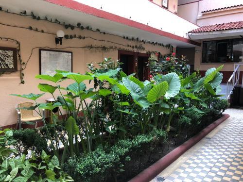 Foto del exterior de Hotel Gallo Rubio