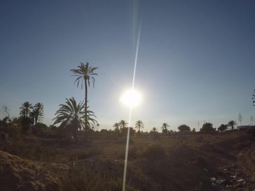 Foto del entorno de Alquileres Vacacionales Residence Djerba