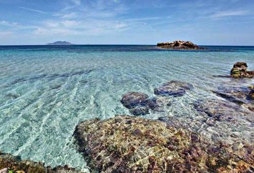Foto del entorno de Casas y chalets Dar Gitta El Haouaria