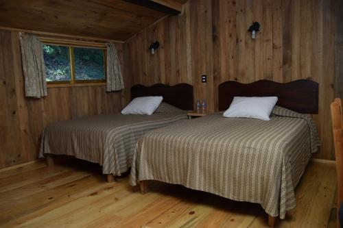 Foto de una habitación de Campestre DAARLU