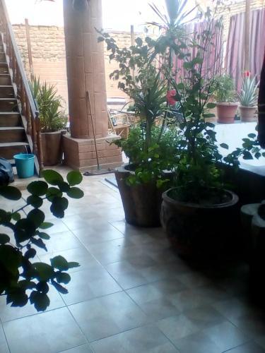 Foto general de Happy Land Luxor