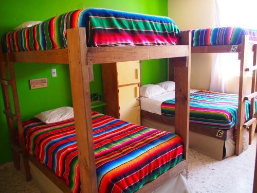 Foto de una habitación de Funky Monkey Hostel