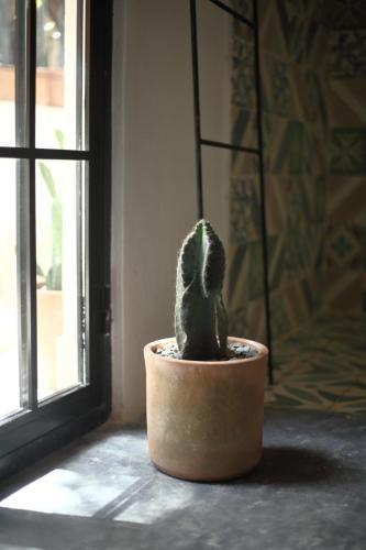 Foto del entorno de Apartamentos FIXIE LOFTS
