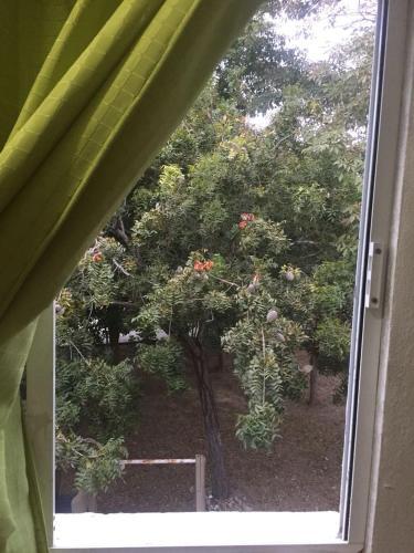 Foto del entorno de Albergue Departamentos Zona Dorada