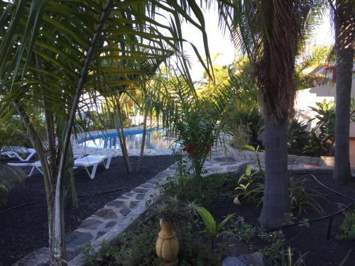 Foto general de Apartamentos y Bungalows Finca Colón