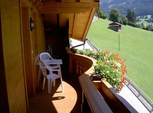 Foto general de Alquileres Vacacionales Landhaus Höllwarth