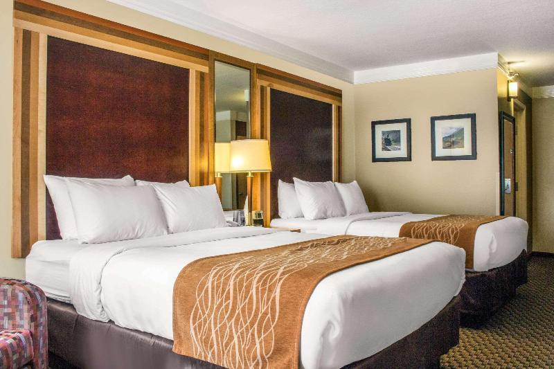 Foto de una habitación de Hotel Comfort Inn &amp;amp; Suites Durango