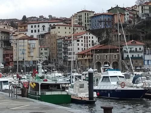 Foto del entorno de Hotel Arbe