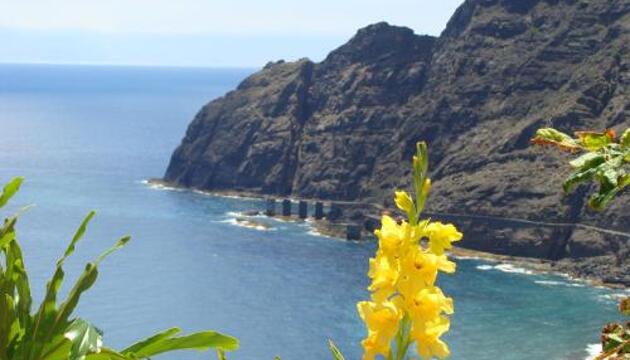 Foto de Viviendas Vacacionales Jardín La Punta