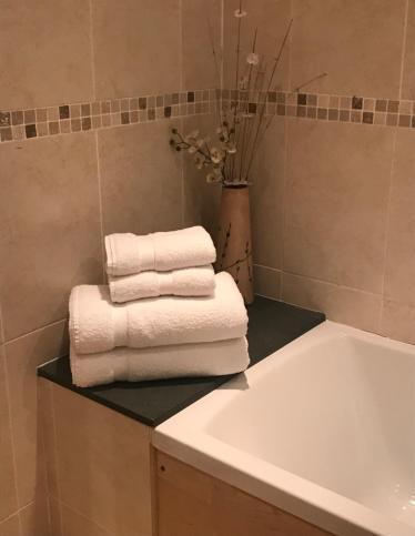 Bathroom – Lyzzick Hall Hotel