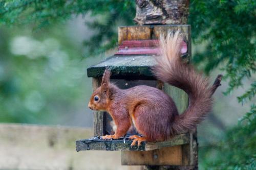 Photo – Derwentwater Independent Hostel