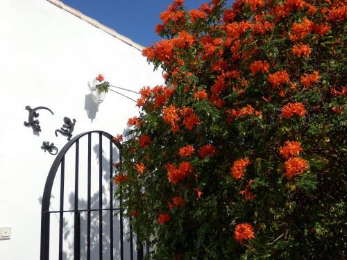 Foto general de B&amp;amp;B Casa Agradable