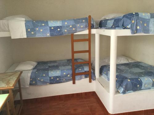 Foto general de Albergue Paracas Backpackers House