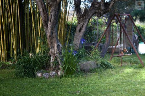 Foto general de Apartamentos La Solana de Monfragüe