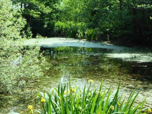 Foto general de Gutsschänke Holsterfeld